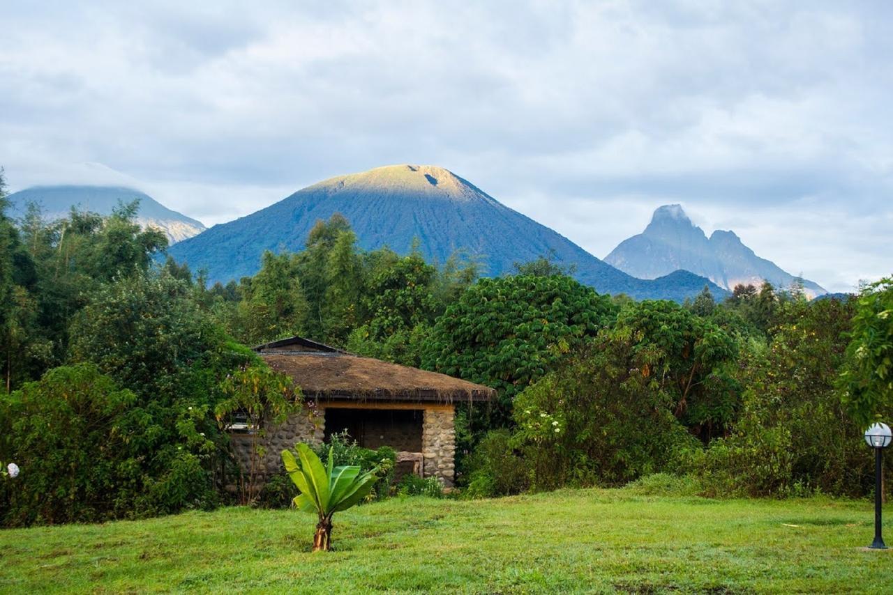 Mountain Gorilla View Lodge Musanze Стая снимка